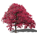 DynaScape Sketch3D - Landscape Specific Plugins, Textures, and ...