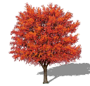 DynaScape Sketch3D - Landscape Specific Plugins, Textures, and ...